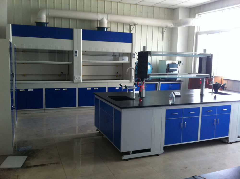 實(shí)驗(yàn)室通風(fēng)柜（標(biāo)準(zhǔn)型、補(bǔ)風(fēng)型、聯(lián)體型、桌上型、落地式、不銹鋼通風(fēng)柜）