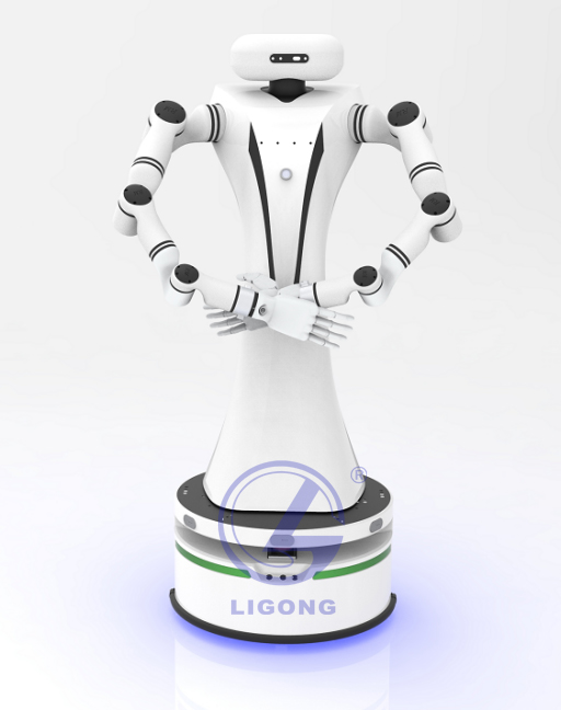 雙臂仿真機器人實訓科研平臺